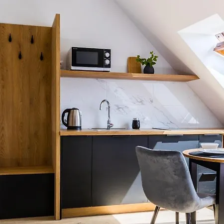 公寓 Krupowki 48b 扎科帕内