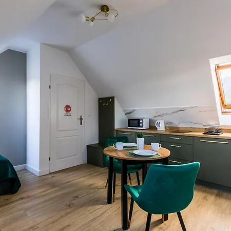 Krupowki 48b Апартаменты Закопане