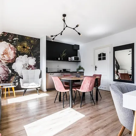 Krupowki 48b 公寓 *